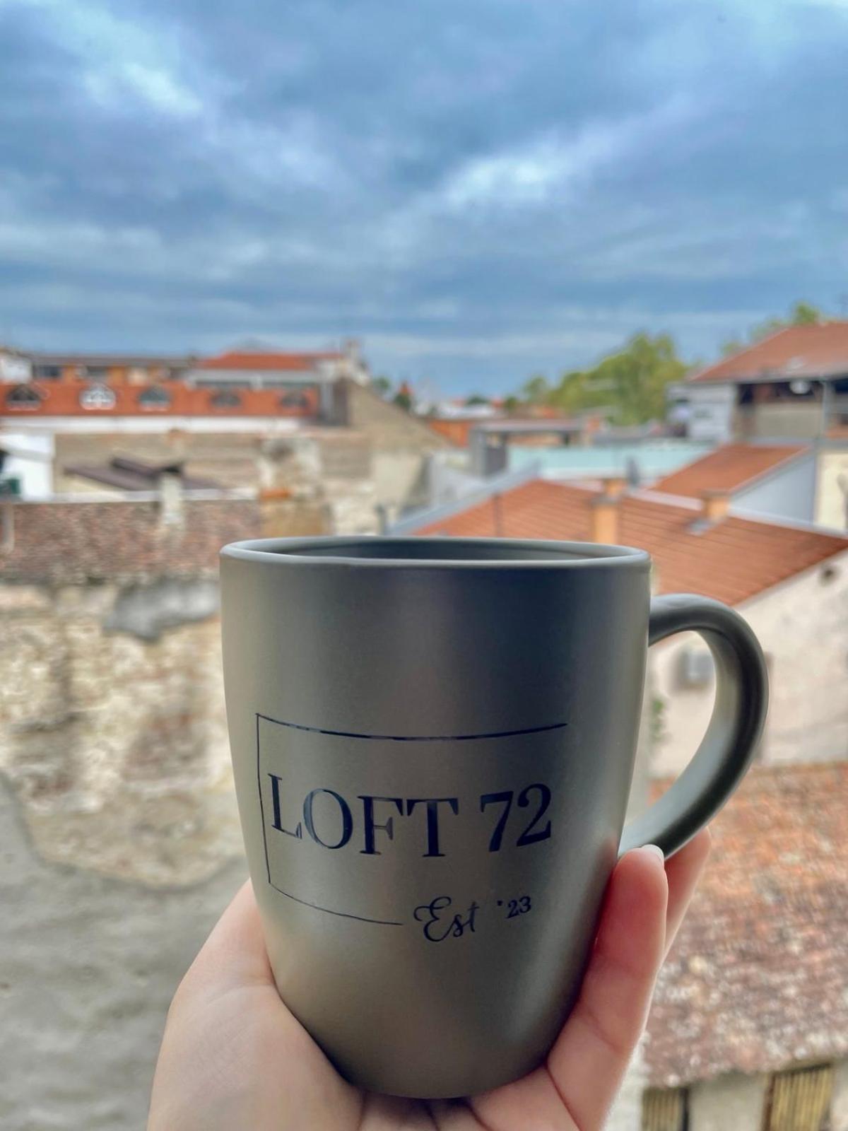 Apartman Loft 72 Славонски брод Екстериор снимка